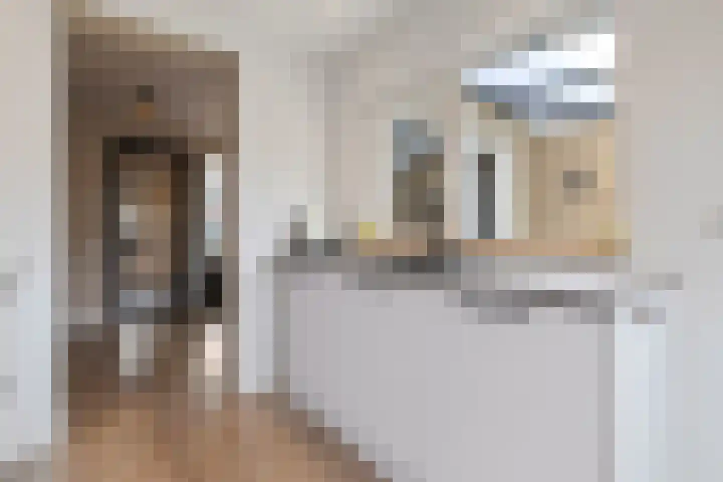 Heer van Rodestraat 38 Mierlo thumbnail 22