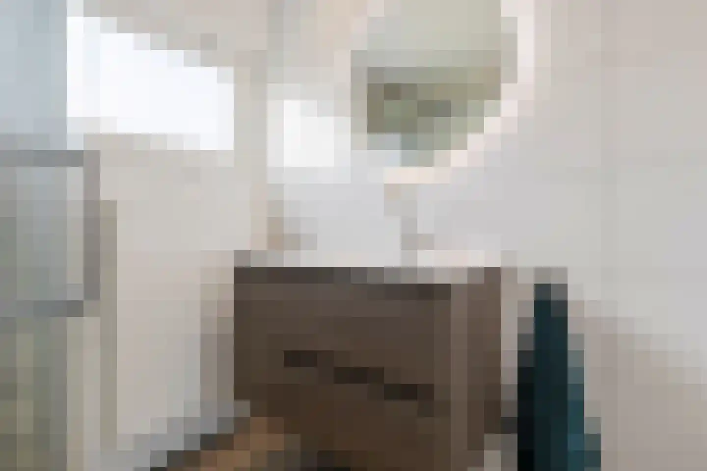 Heer van Rodestraat 38 Mierlo thumbnail 31