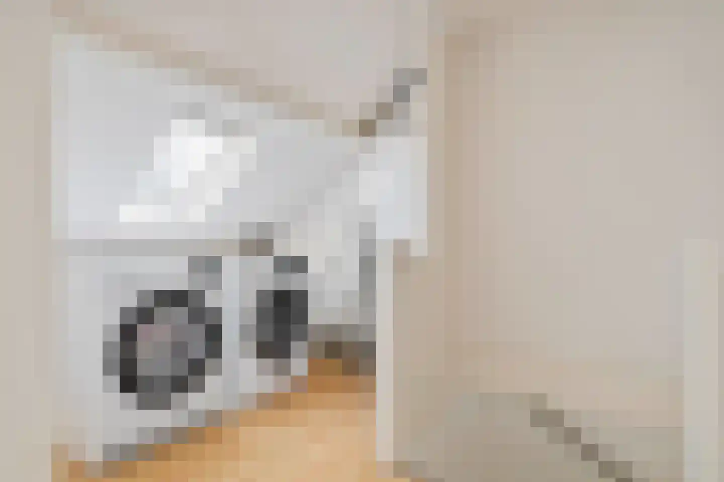 Heer van Rodestraat 38 Mierlo thumbnail 35