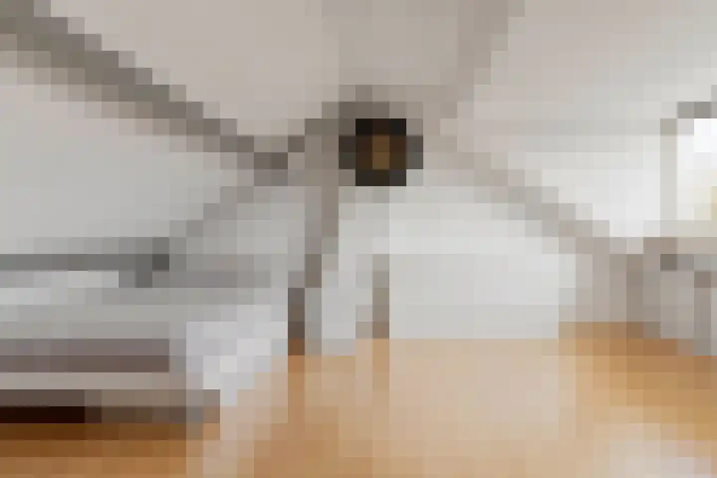 Heer van Rodestraat 38 Mierlo thumbnail 37