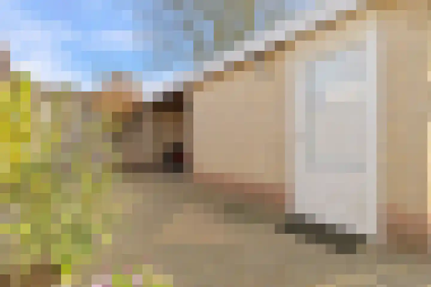 Heer van Rodestraat 38 Mierlo thumbnail 42