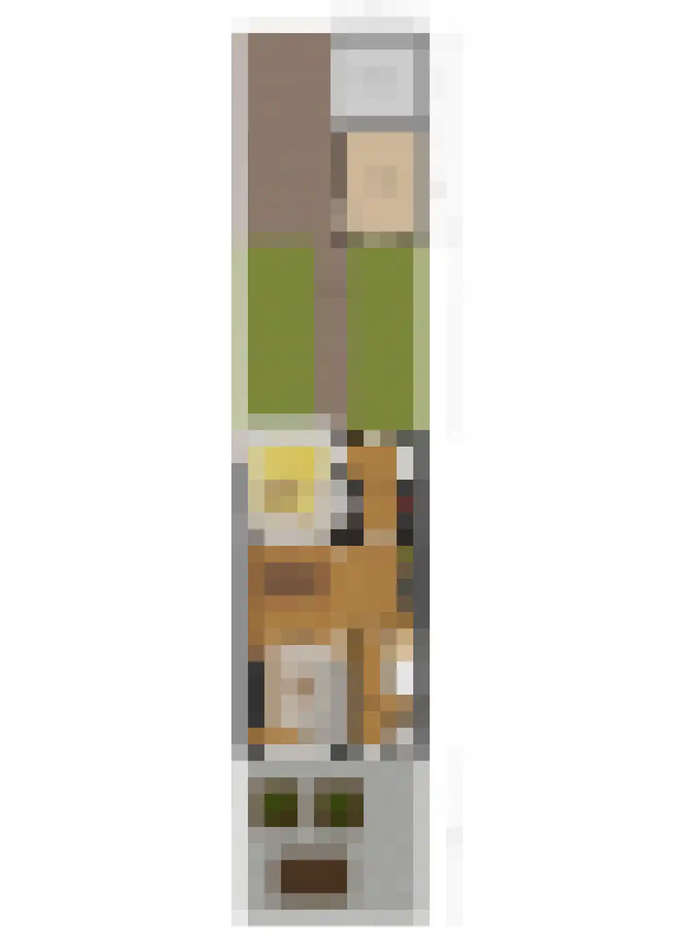 Heer van Rodestraat 38 Mierlo thumbnail 57