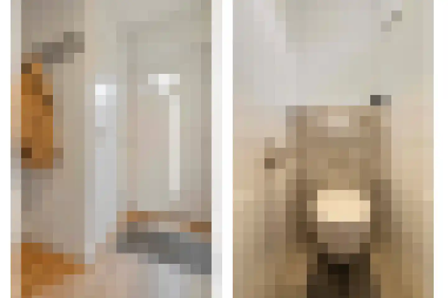 Heer van Rodestraat 38 Mierlo thumbnail 7