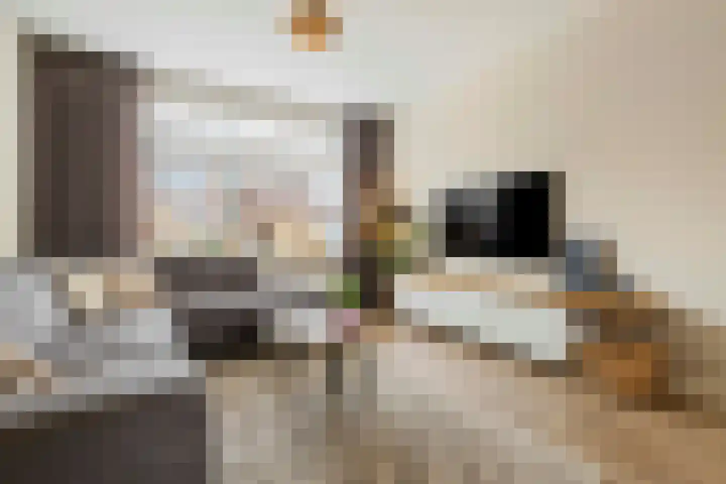 Heer van Rodestraat 38 Mierlo thumbnail 8