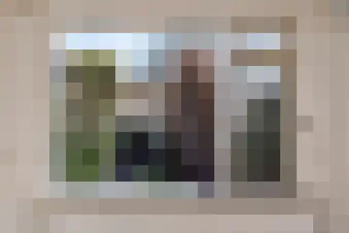 Heer van Rodestraat 62 Mierlo thumbnail 11