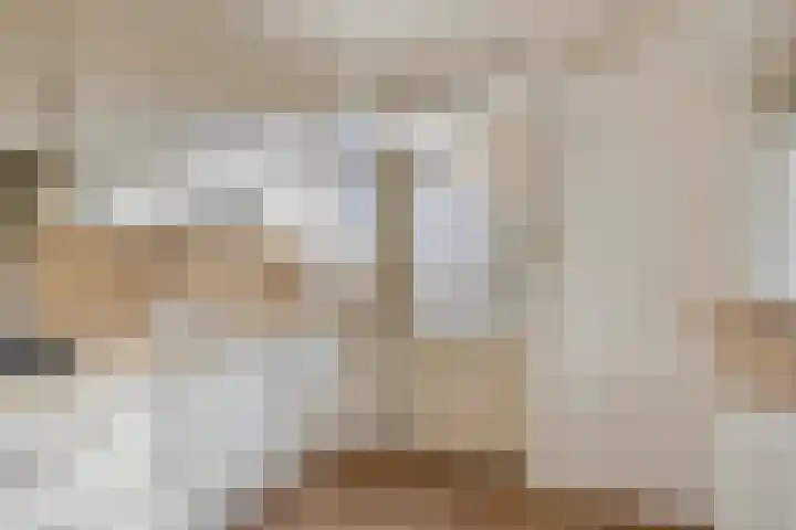 Heer van Rodestraat 62 Mierlo thumbnail 12