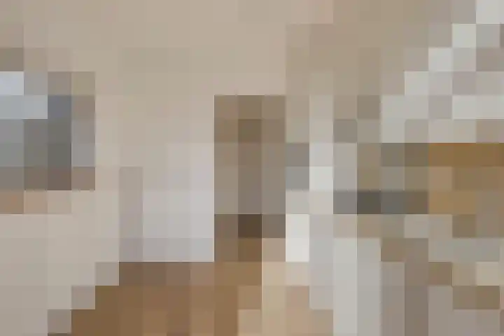 Heer van Rodestraat 62 Mierlo thumbnail 13