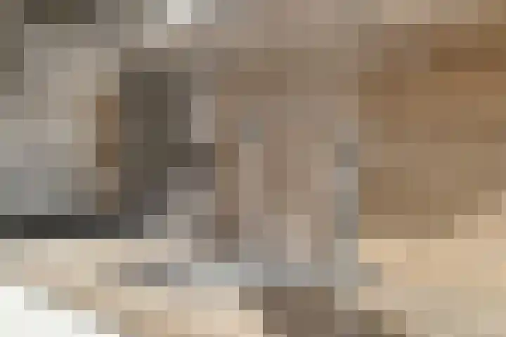 Heer van Rodestraat 62 Mierlo thumbnail 14