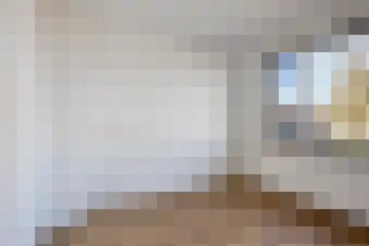 Heer van Rodestraat 62 Mierlo thumbnail 19