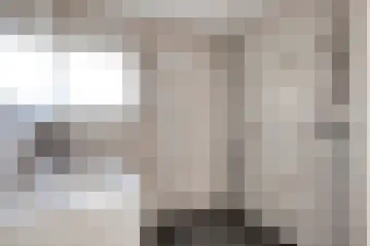 Heer van Rodestraat 62 Mierlo thumbnail 21