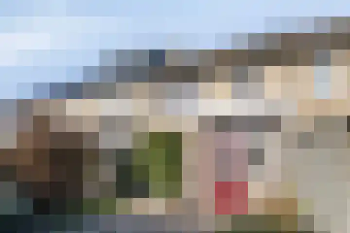 Heer van Rodestraat 62 Mierlo thumbnail 28