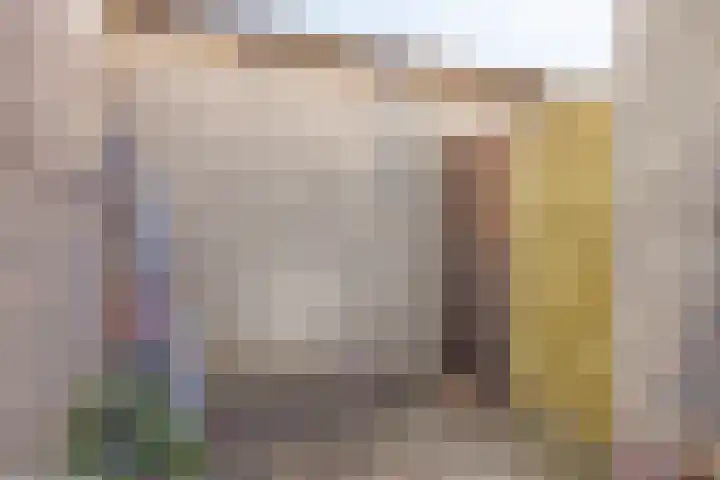 Heer van Rodestraat 62 Mierlo thumbnail 29