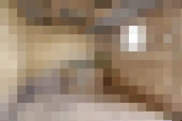 Heer van Rodestraat 62 Mierlo thumbnail 30