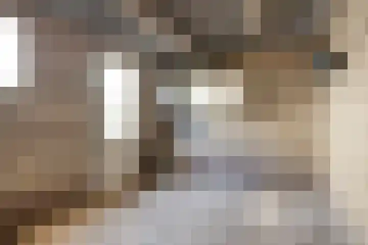 Heer van Rodestraat 62 Mierlo thumbnail 31