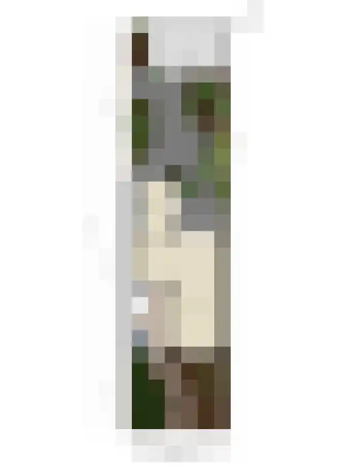 Heer van Rodestraat 62 Mierlo thumbnail 36