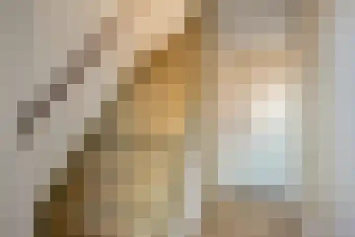 Heer van Rodestraat 62 Mierlo thumbnail 6