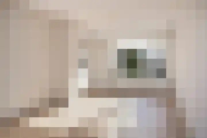 Heer van Rodestraat 62 Mierlo thumbnail 9