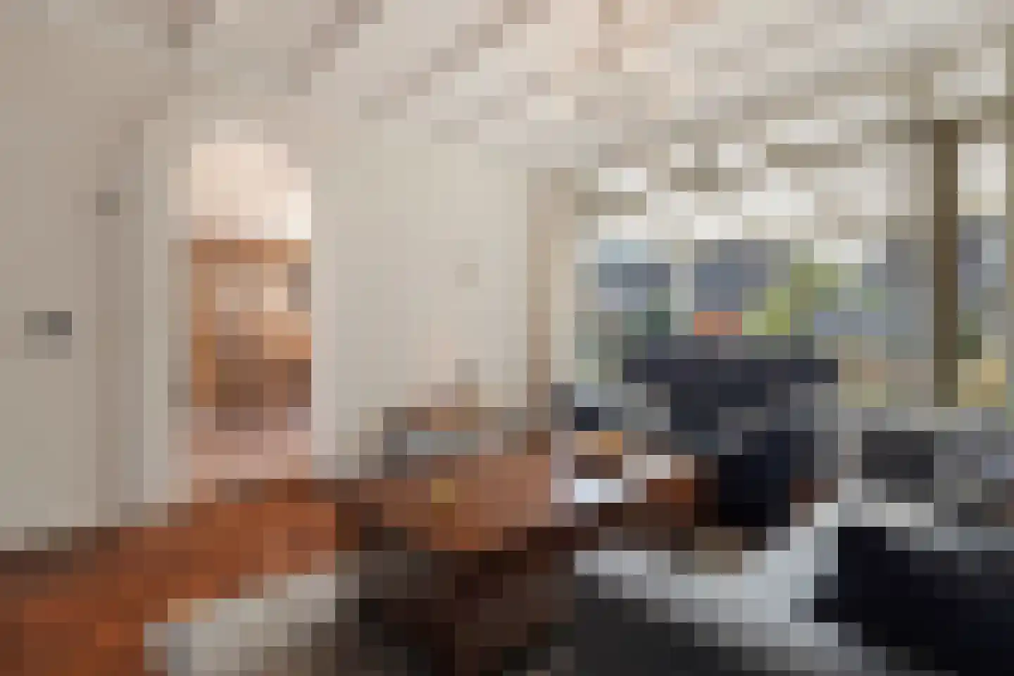 Heer van Rodestraat 78 Mierlo thumbnail 10