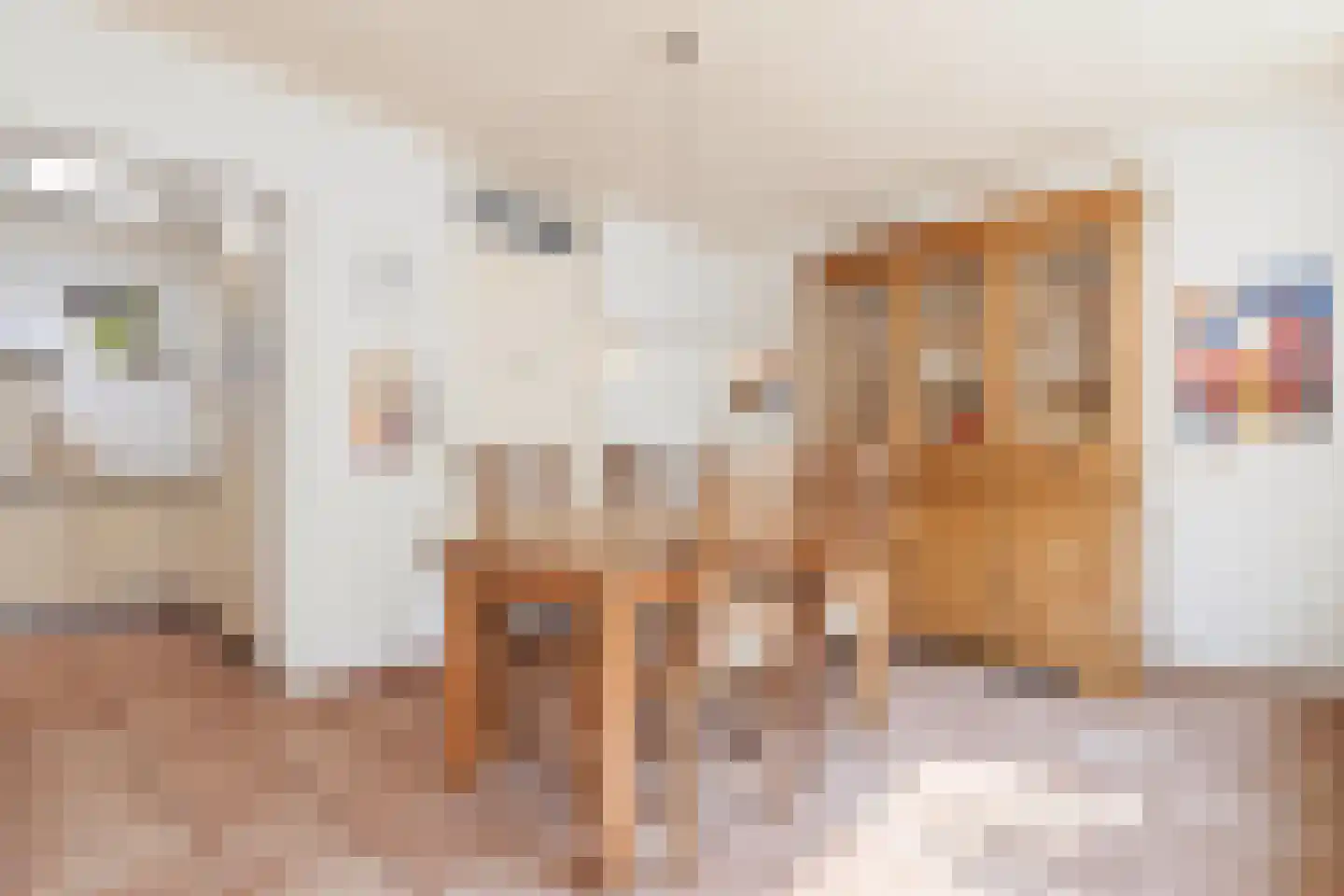 Heer van Rodestraat 78 Mierlo thumbnail 13