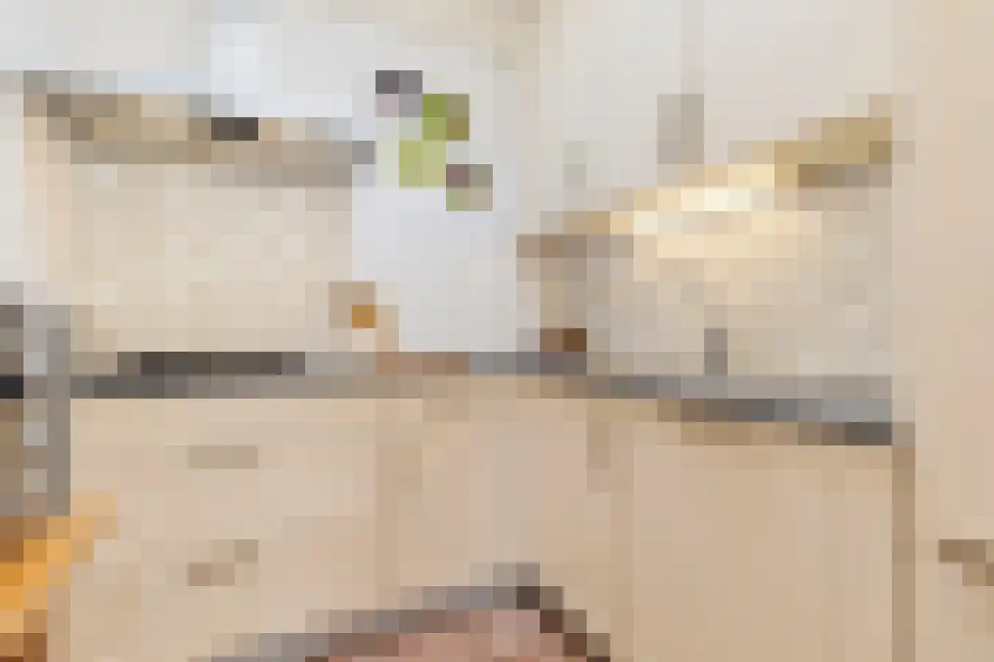 Heer van Rodestraat 78 Mierlo thumbnail 15