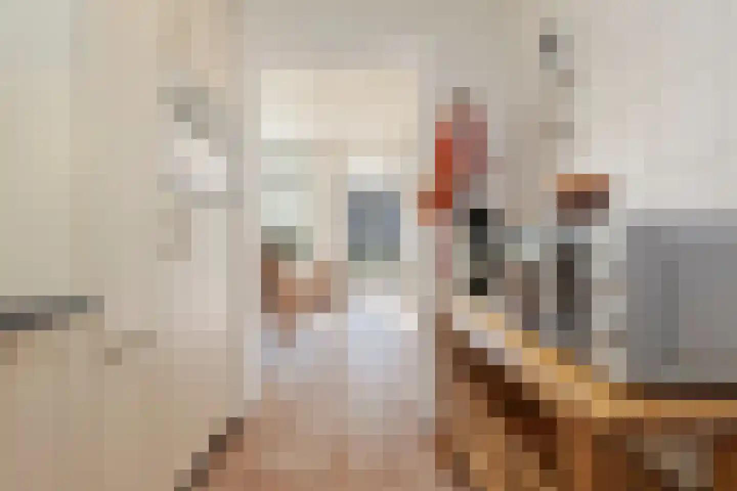 Heer van Rodestraat 78 Mierlo thumbnail 17