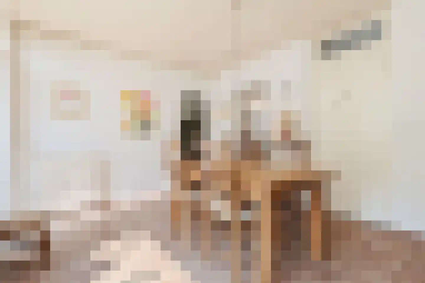Heer van Rodestraat 78 Mierlo thumbnail 18
