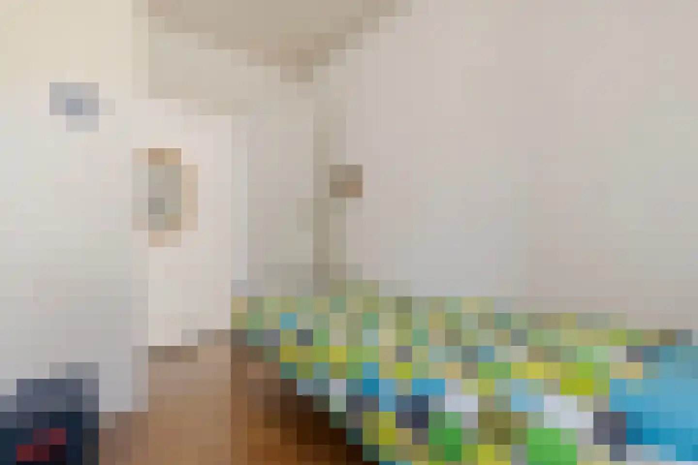 Heer van Rodestraat 78 Mierlo thumbnail 27