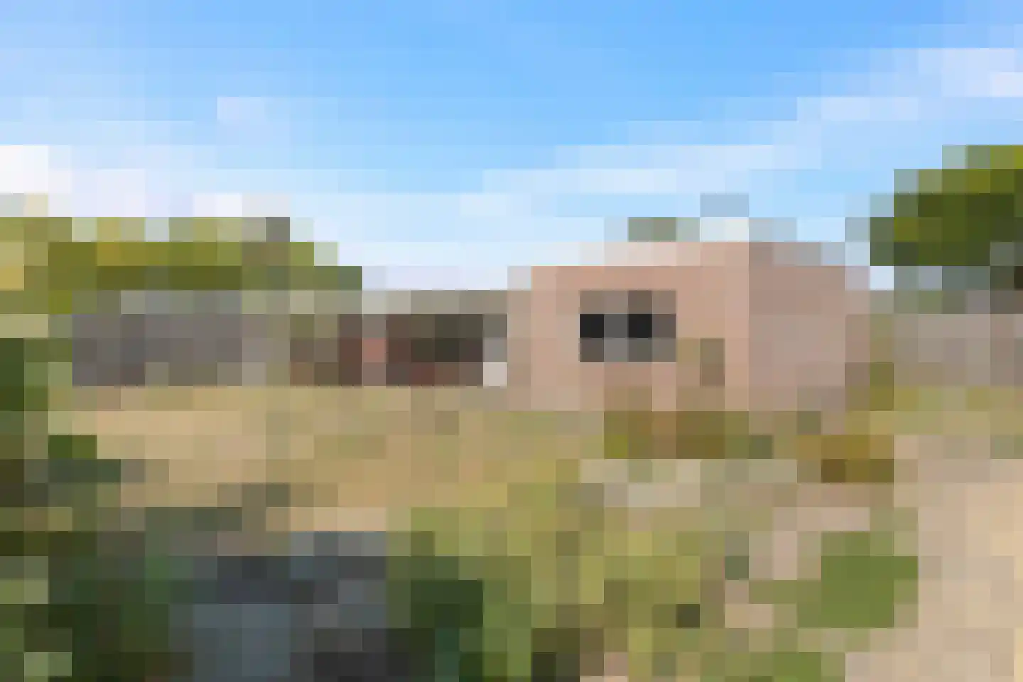 Heer van Rodestraat 78 Mierlo thumbnail 33
