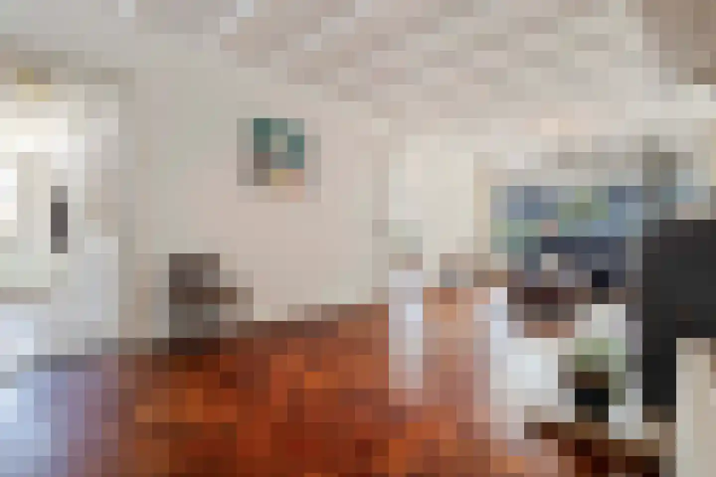 Heer van Rodestraat 78 Mierlo thumbnail 4