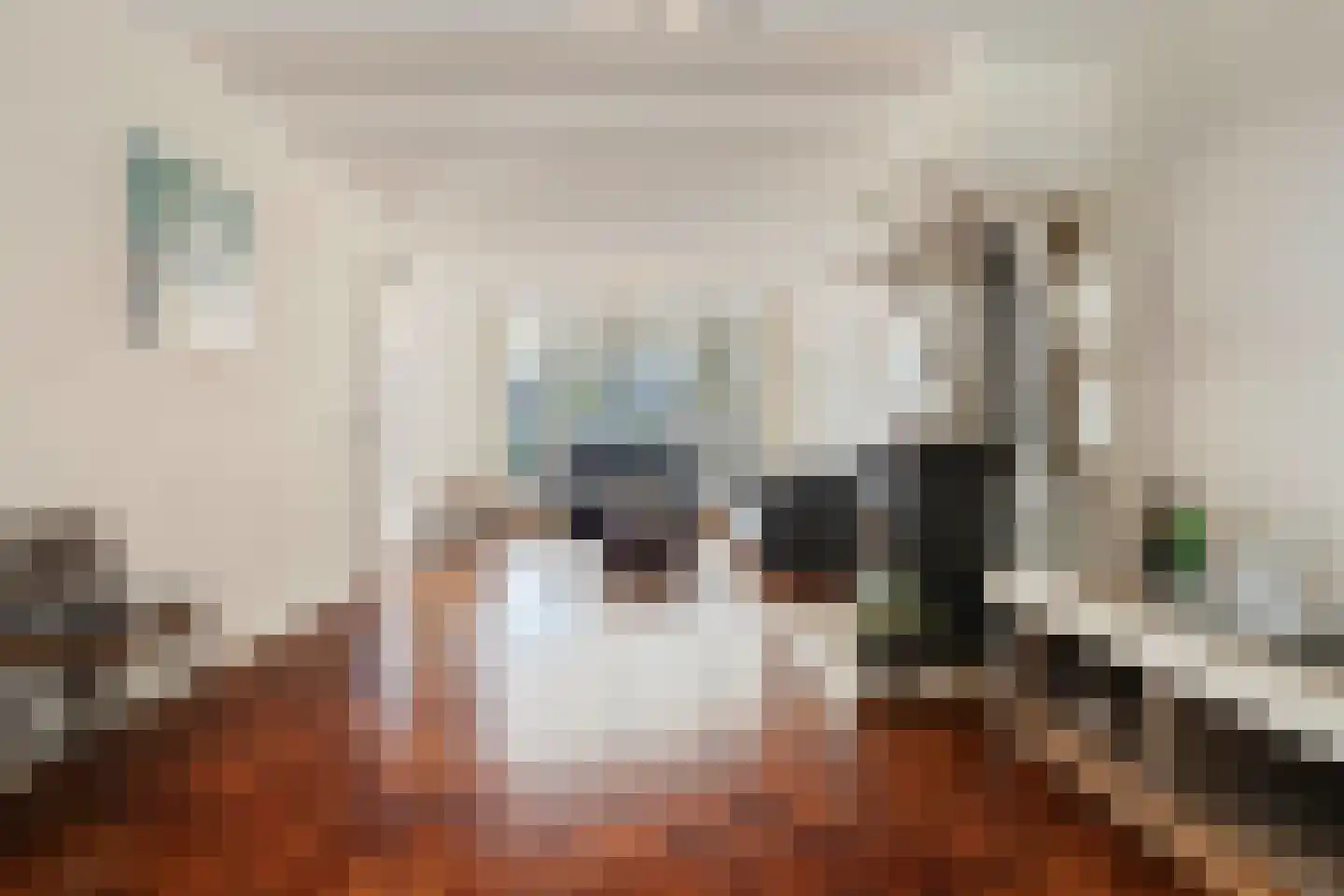 Heer van Rodestraat 78 Mierlo thumbnail 7