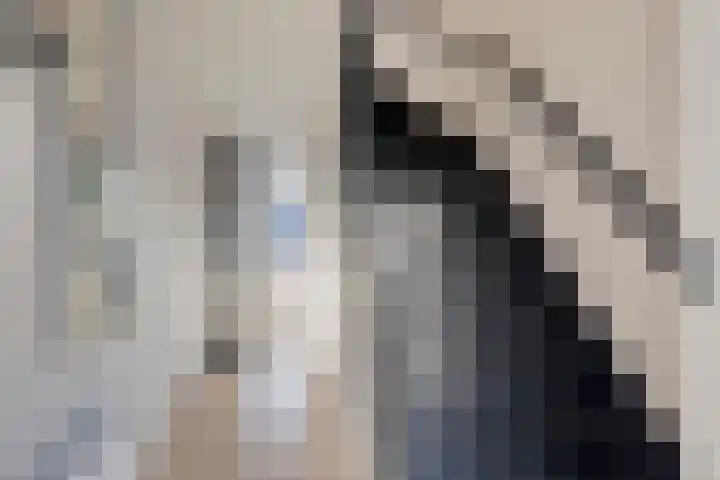 Heer van Rodestraat 85 Mierlo thumbnail 11