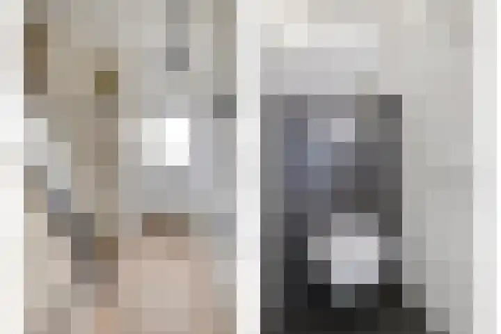 Heer van Rodestraat 85 Mierlo thumbnail 12