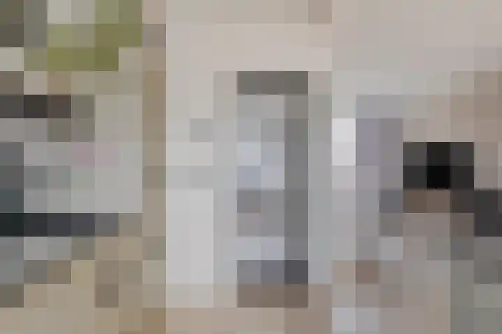 Heer van Rodestraat 85 Mierlo thumbnail 13