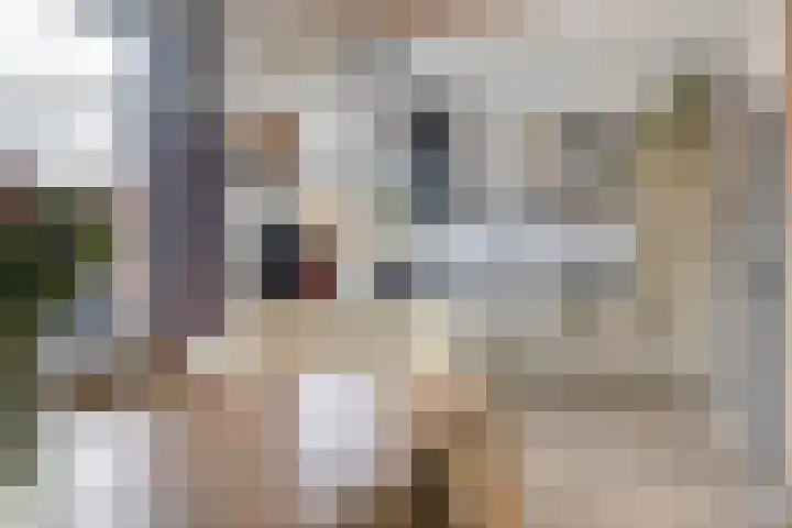 Heer van Rodestraat 85 Mierlo thumbnail 14