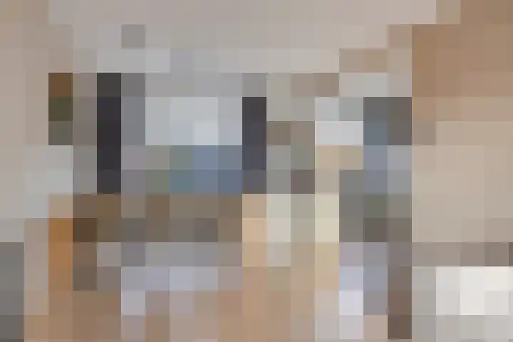 Heer van Rodestraat 85 Mierlo thumbnail 17