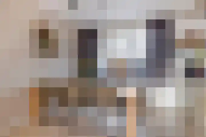 Heer van Rodestraat 85 Mierlo thumbnail 18