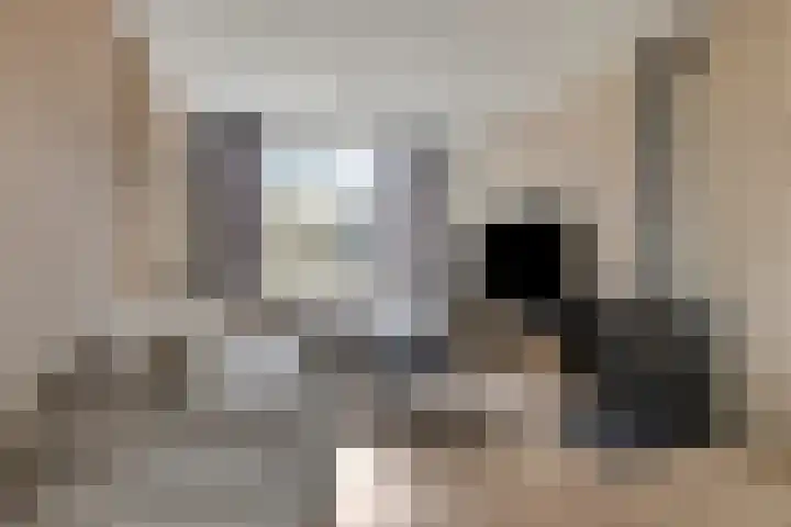 Heer van Rodestraat 85 Mierlo thumbnail 19