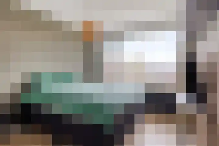 Heer van Rodestraat 85 Mierlo thumbnail 23