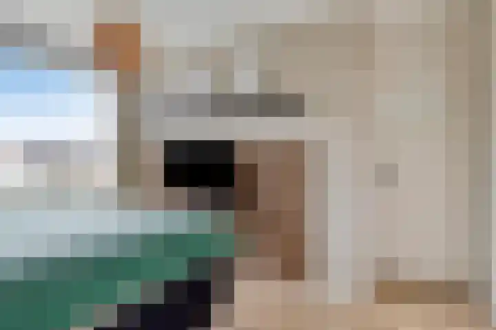 Heer van Rodestraat 85 Mierlo thumbnail 24