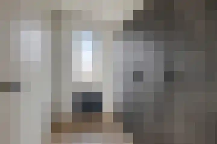 Heer van Rodestraat 85 Mierlo thumbnail 25