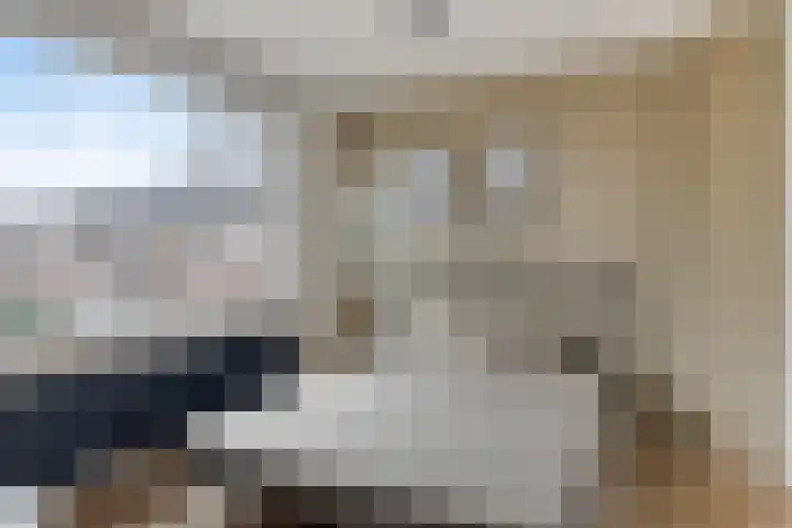 Heer van Rodestraat 85 Mierlo thumbnail 26