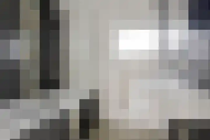 Heer van Rodestraat 85 Mierlo thumbnail 28