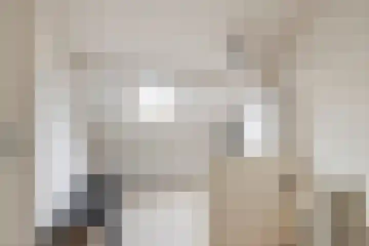 Heer van Rodestraat 85 Mierlo thumbnail 30