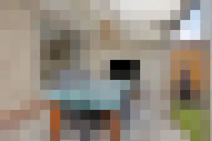 Heer van Rodestraat 85 Mierlo thumbnail 36