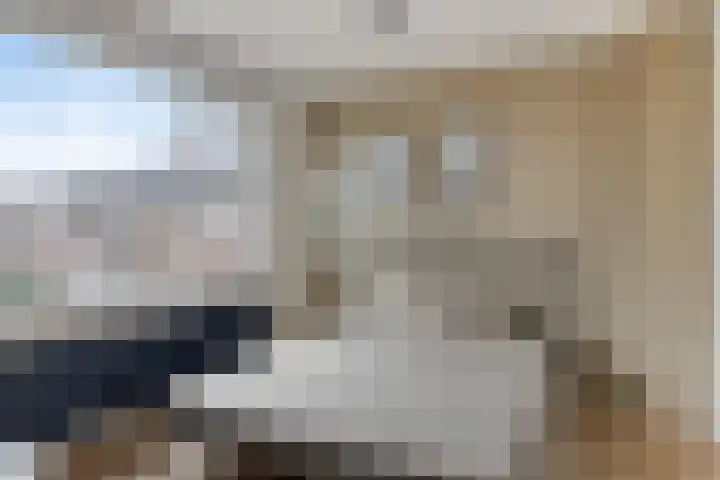 Heer van Rodestraat 85 Mierlo thumbnail 5