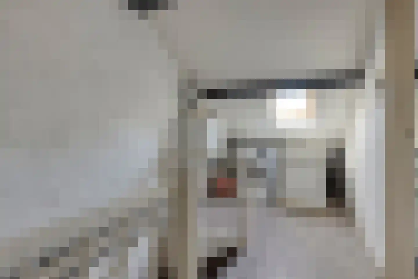 Heer van Scherpenzeelweg 91 Mierlo thumbnail 20