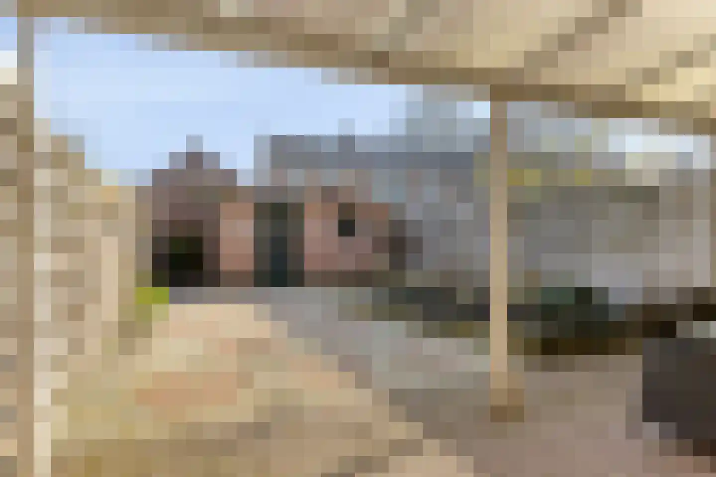 Heer van Scherpenzeelweg 91 Mierlo thumbnail 24