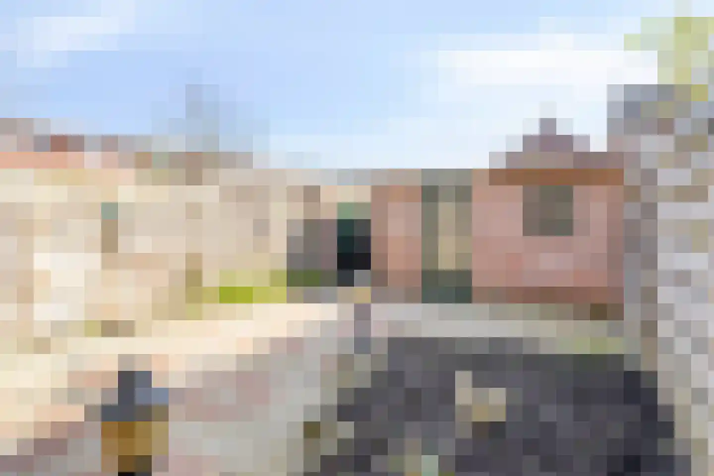 Heer van Scherpenzeelweg 91 Mierlo thumbnail 25