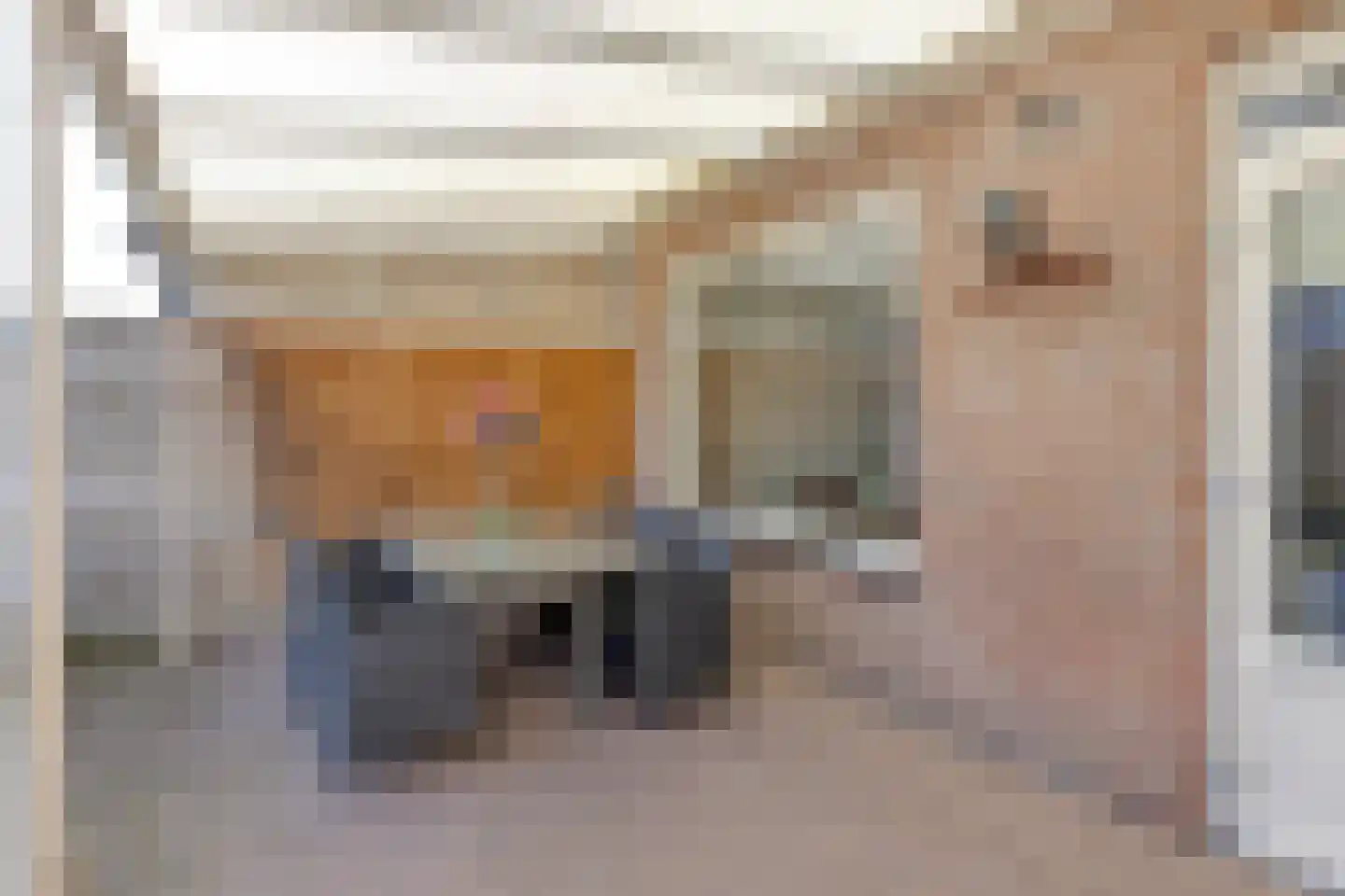 Heer van Scherpenzeelweg 91 Mierlo thumbnail 26