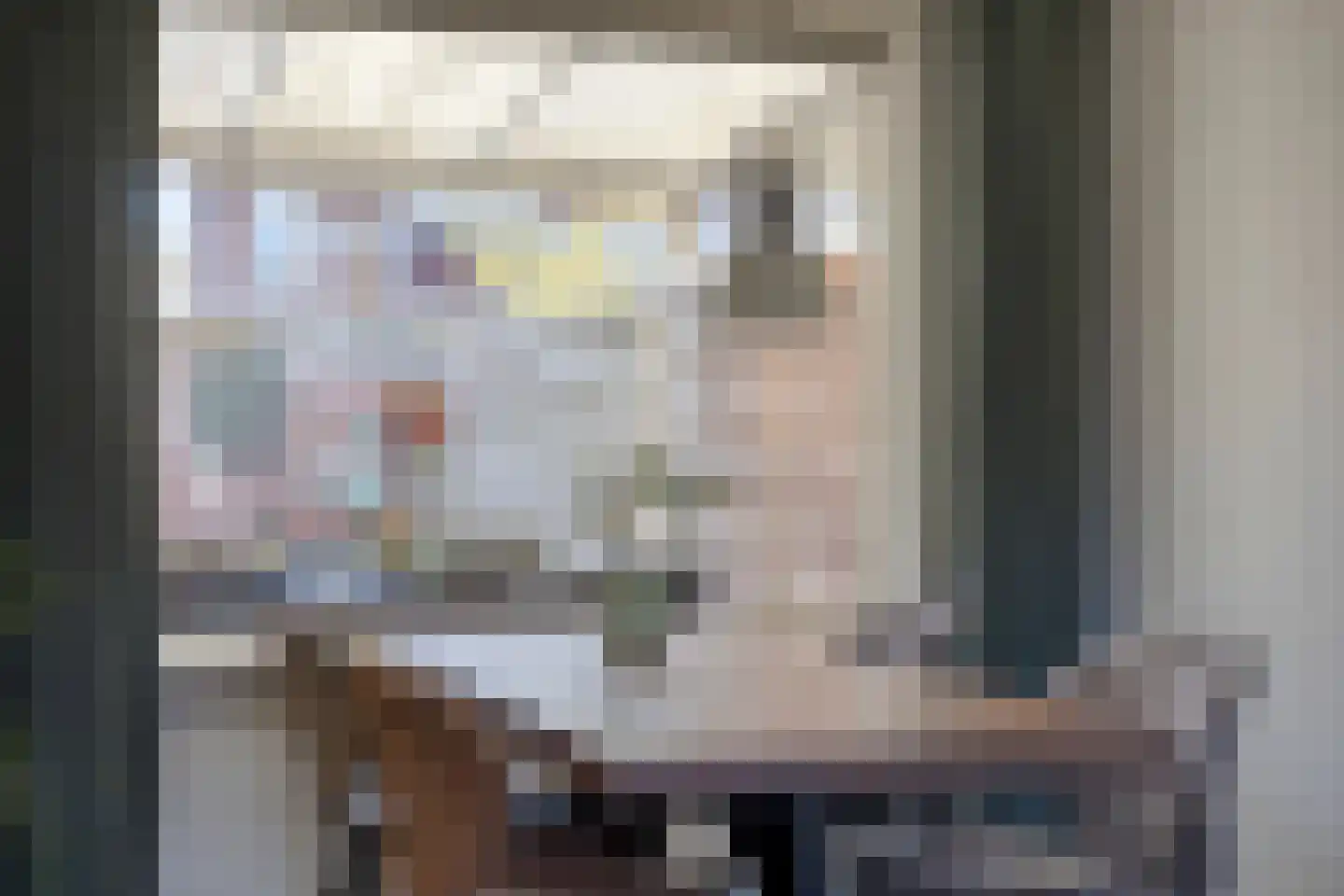 Heer van Scherpenzeelweg 91 Mierlo thumbnail 7